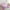 Hot Pink, variant on Anime Comforter Set 3D Anime Bedding in Furry Ears and Pink Hair Kawaii Bedding Comforter Sets, Cute Cat Aesthetic Art Duvet insert y Lady Moe Kawaii Room Decor, Twin 2Pcs