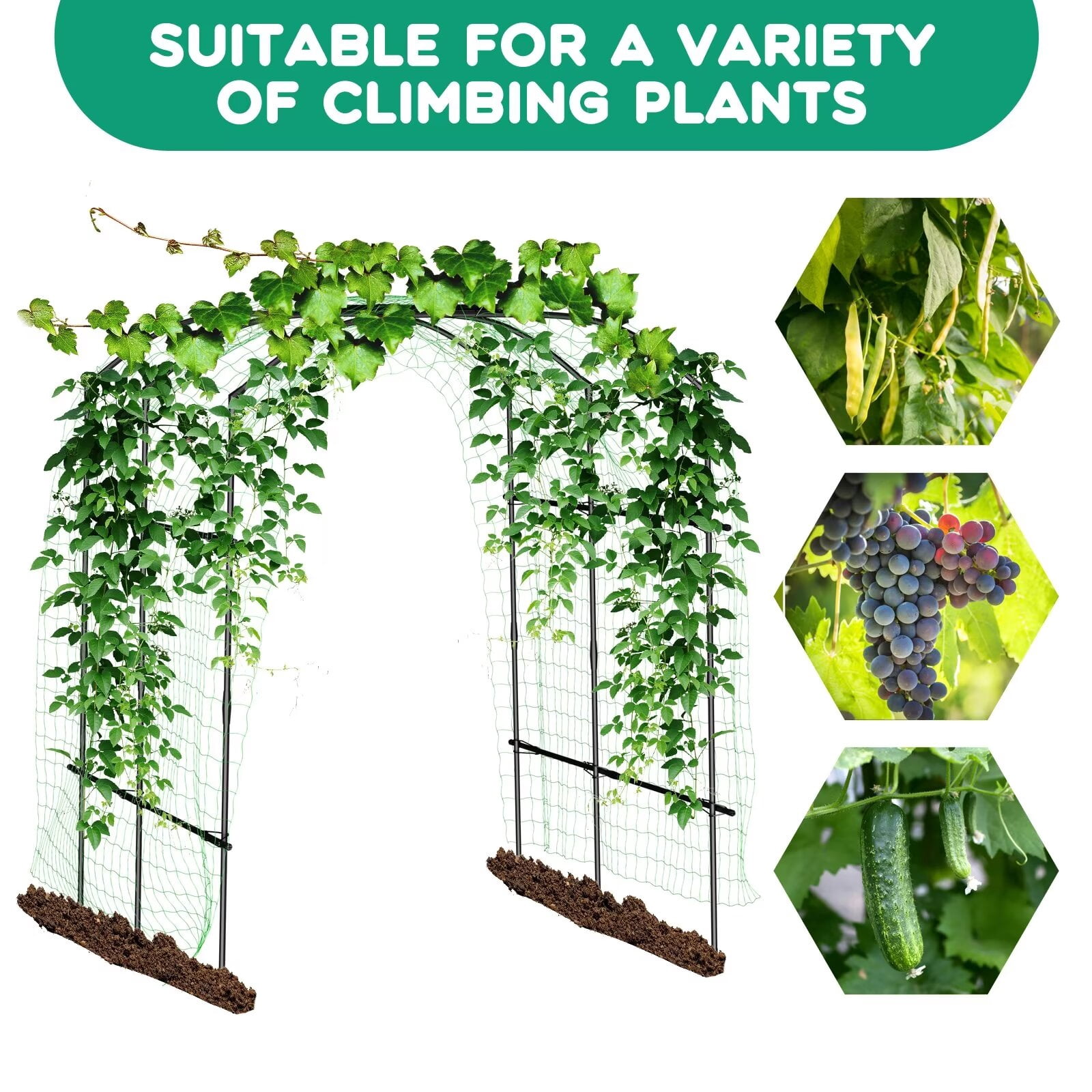 MOPHOTO Tall Garden Arch Trellis for Climbing Plants,87in Tall Metal Plant Support Trellis Archway for Climbing Vine Vegetable/Fruit/Flower Outdoor Yard Lawn Garden Arch Tunnel Trellis