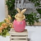 thumbnail image 2 of 3 conejito de resina con decoraciones de cáscara de huevo figuritas de Pascua de primavera adorno de jardín accesorios de mesa para fiesta en casa esquí esquí Gafas de esquí, 2 of 5