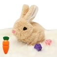 thumbnail image 1 of Easter Plush Stuffed Bunny Toy, 1 of 5