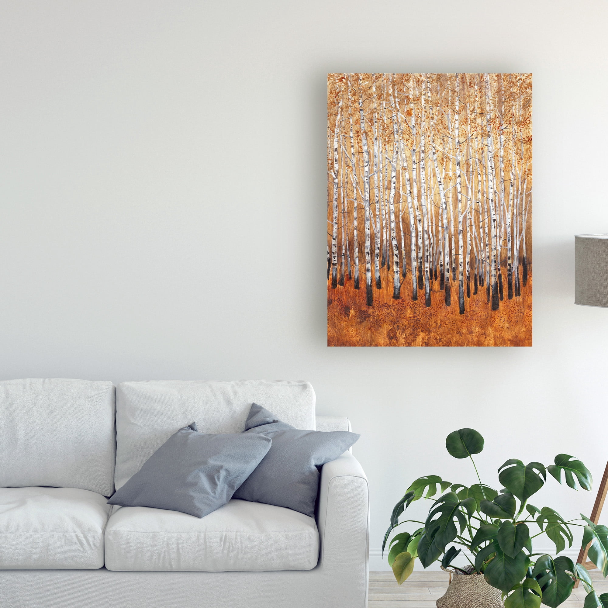 Sienna Birches I' Canvas Art by Tim OToole