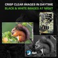 thumbnail image 4 of 16MP 1080P Tracking and Game Camera Hunting Camera Outdoor Wildlife Scouting Camera 46 LED Night Vision IP56 Waterproof, 4 of 8
