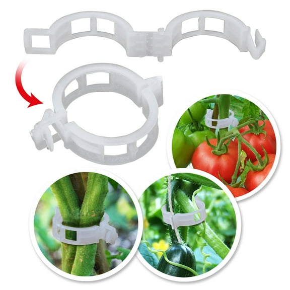 SUNRISEUMBRELLA Plant Fruit Support Garden Clips Tomato Trellis Clips Support Vine Vegetables Tomato to Grow Upright (White)1x0.75 inch