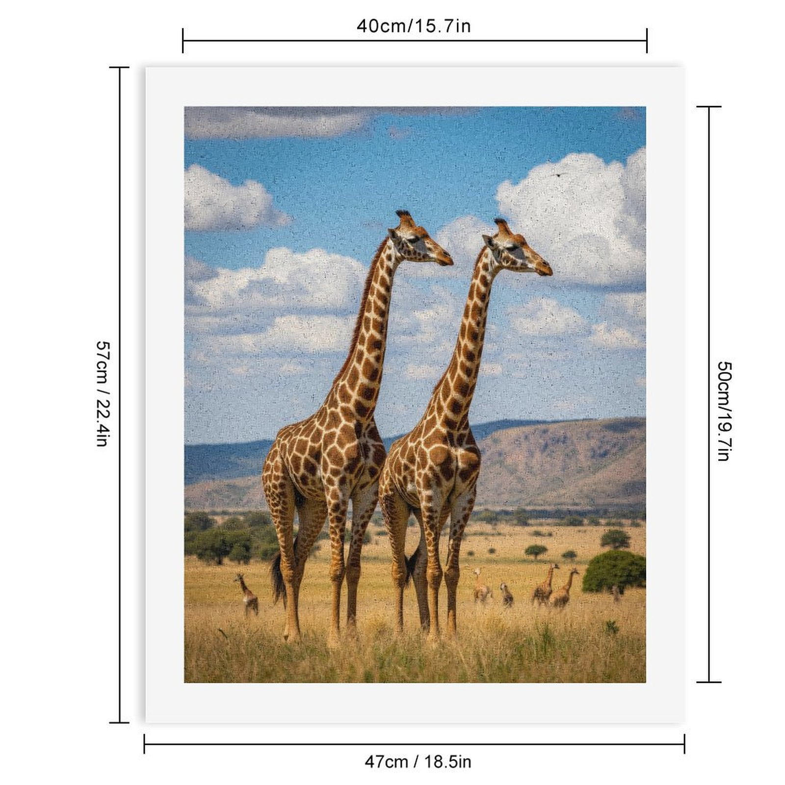 Paint by Numbers Kit for Adults, Giraffes Serengeti Landscape Clouds Paint by Numbers, Easy Paint by Numbers Kit for Adults Beginner, DIY Adult Paint by Number Kits on Canvas, Home Decor