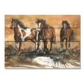 thumbnail image 2 of Day Dream DBTOW2014 20 x 14 in. Bartholets Touch of Wild Wall Art, 2 of 2