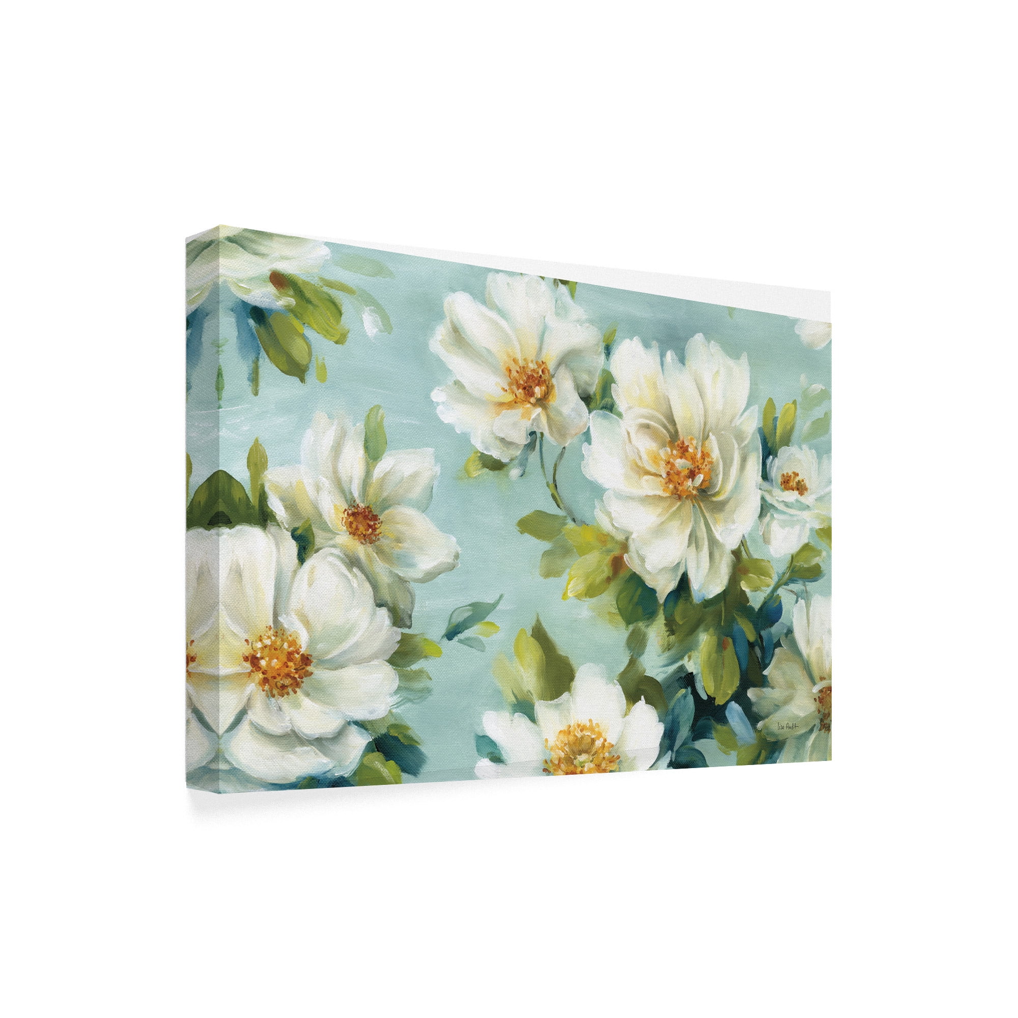 Trademark Fine Art 'Reflections I Crop' Canvas Art by Lisa Audit
