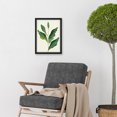 thumbnail image 2 of Detail Of Rubber Fig Plant Botanical Illustration Artwork Framed Wall Art Print A4, 2 of 4