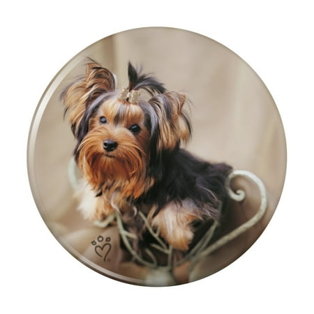 

Yorkie Yorkshire Terrier Puppy Dog Satin and Bow Kitchen Refrigerator Locker Button Magnet