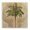 Subdued Tropics Palm, variant on Stupell Industries Bohemian November Leaves Plant Sprig Canvas Art, 17 x 17, by Michael Marcon