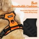thumbnail image 2 of Arnés para perros Rabbitgoo, sin tirones, ajustable para perros pequeños, 2 of 8