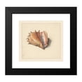 thumbnail image 2 of Albertus Steenbergen 16x15 Black Modern Framed Museum Art Print Titled - Study of a Shell (1824 - 1900), 2 of 5