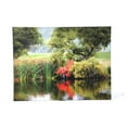 thumbnail image 2 of ArtWall ''Santee Lakes'' by George Zucconi Painting Print on Canvas, 2 of 2