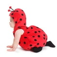 thumbnail image 3 of Dress Up America Ladybug Female Fancy-Dress Costumes for Infant, 0-6 Months, 3 of 4