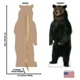 thumbnail image 2 of Brown Bear Cardboard Stand-Up, 7ft, 2 of 2