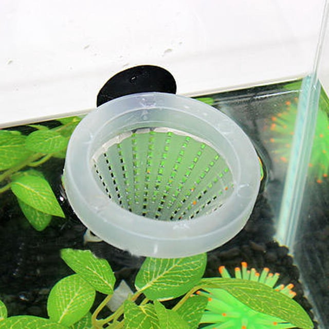 Alimentador De Peces De Acuario Embudo De Rojo Herramienta De Taza De Alimentación De Alimentos Para Peces Alimentador De Acuario Tolva Fernando Alimentador de gusanos rojos para acuarios