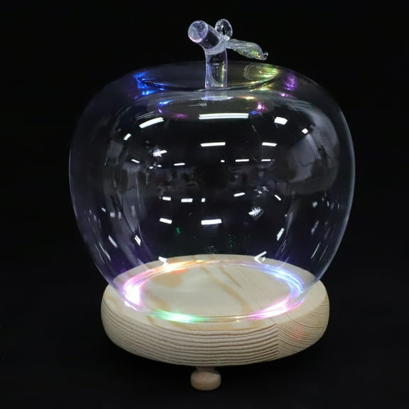Transparent Glass Dome Display Case with Wooden Base for Storage Use Elegant Home Adornment 7.8 Inches