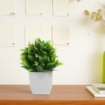 thumbnail image 2 of Bonsái artificial de 3 piezas, plantas falsas para decoración de interiores, pequeñas plantas artificiales para escritorio, adorno verde realista, decoración artificial, 2 of 7
