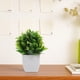 thumbnail image 2 of Bonsái artificial de 3 piezas, plantas falsas para decoración de interiores, pequeñas plantas artificiales para escritorio, adorno verde realista, decoración artificial, 2 of 7