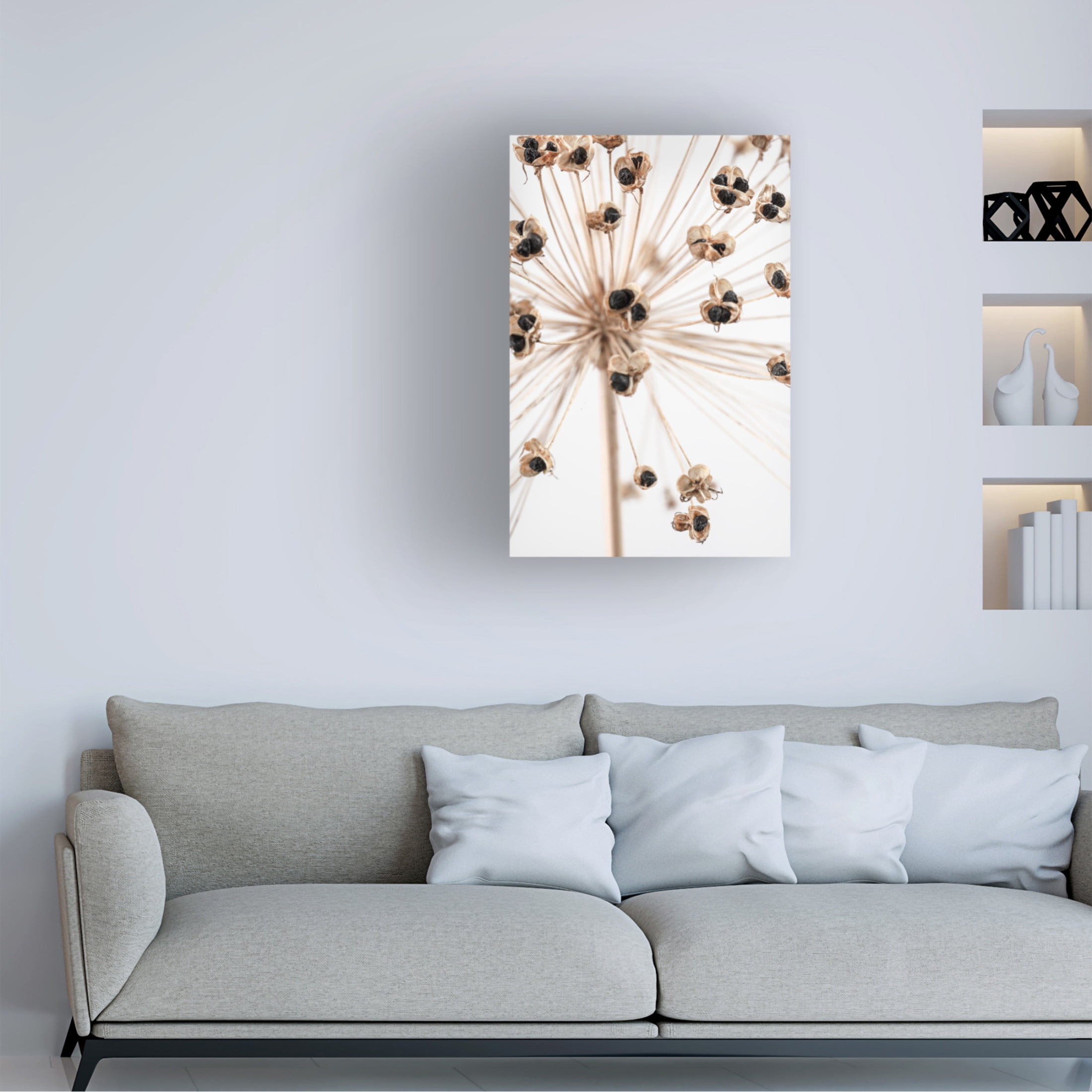 Pictufy Studio III 'Dried 7' Canvas Art - 22 x 32 Inches