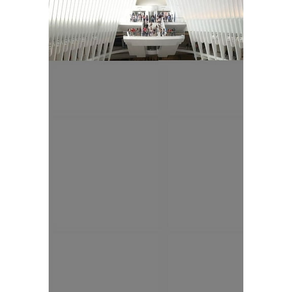 Architecture and the Public Good, (Paperback)