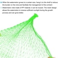 thumbnail image 5 of Uxcell Watermelon Nets Hanging Melon Hammocks Reusable Fruit Net Bag for Garden 50 Pack Green 17.72 Inch, 5 of 6