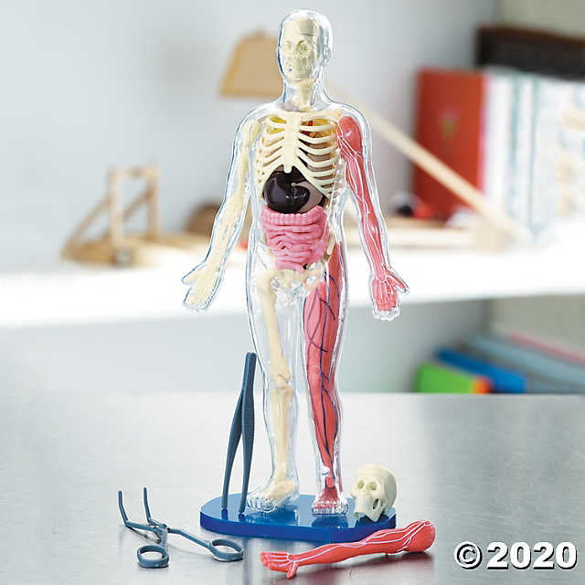 human body kit