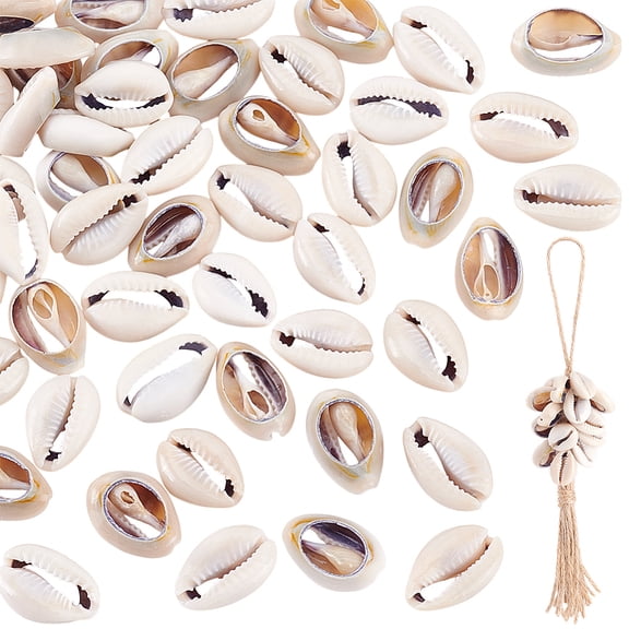 Natural Cowrie Shell Beads 18~20x13~14x6~8mm 50pcs Material Cowrie Shell