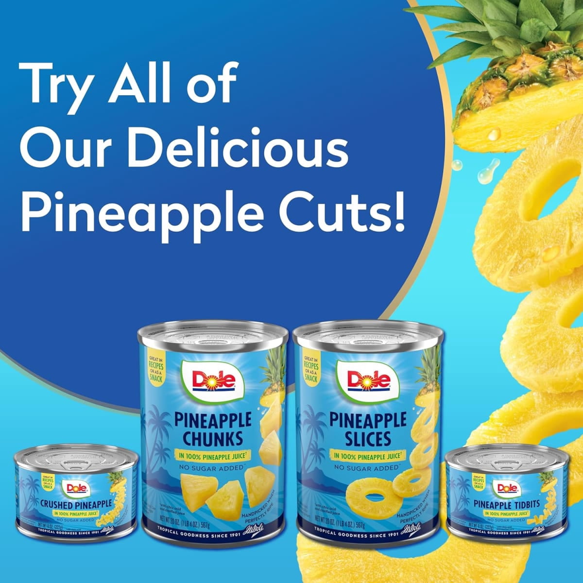 (12 pack) Dole Pineapple Slices in 100% Pineapple Juice, 20 oz Can