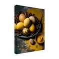 thumbnail image 4 of Canvas Wall Art - Treechild 'Yellow Eggs' Wall Art for Living Room, Bedroom, or Office Décor by Trademark Fine Art - 14 x 19 Inches - 14x19, 4 of 4