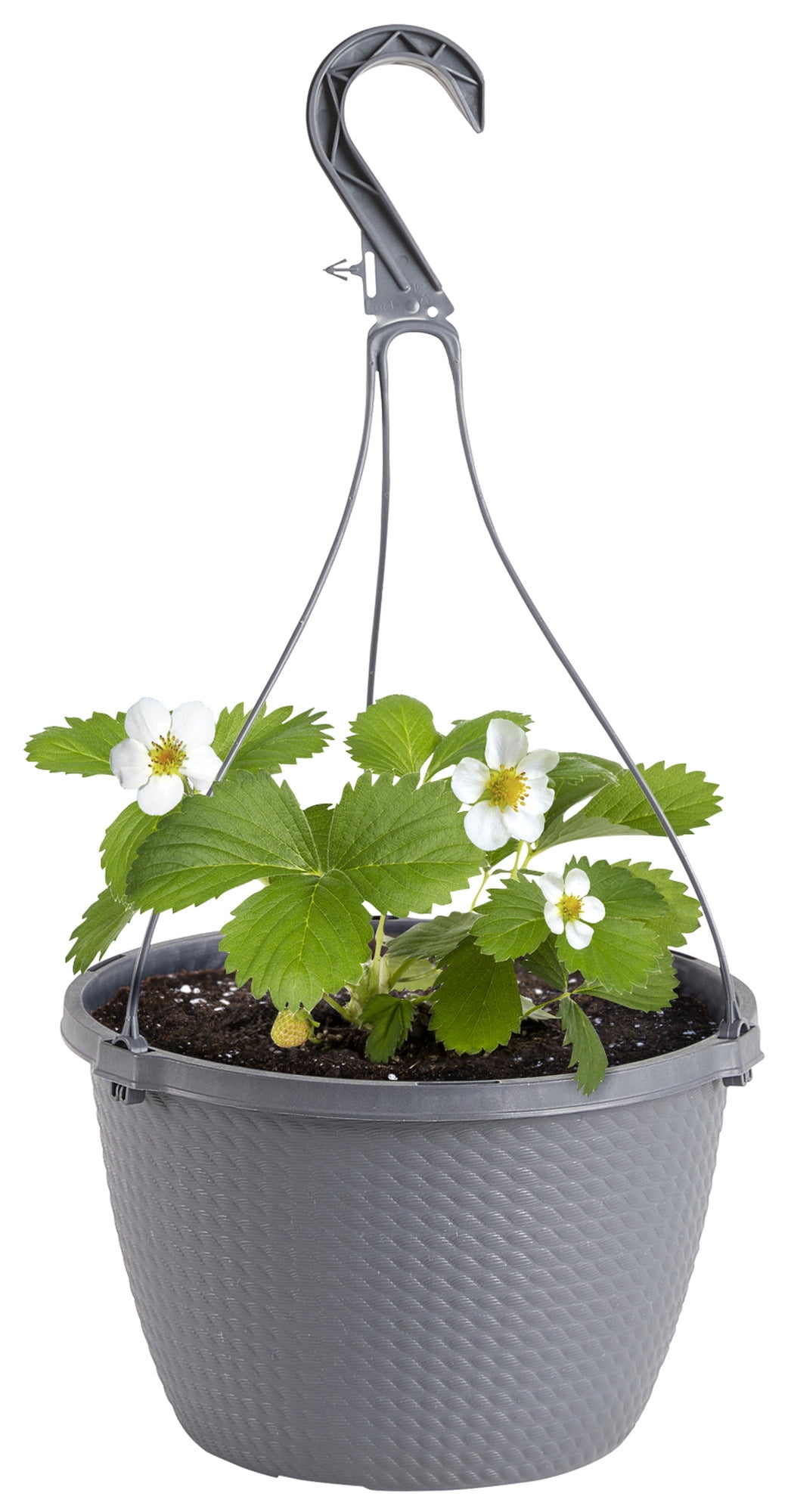 pole for hanging plants D-Shaped Moss Pole Kit main image 0