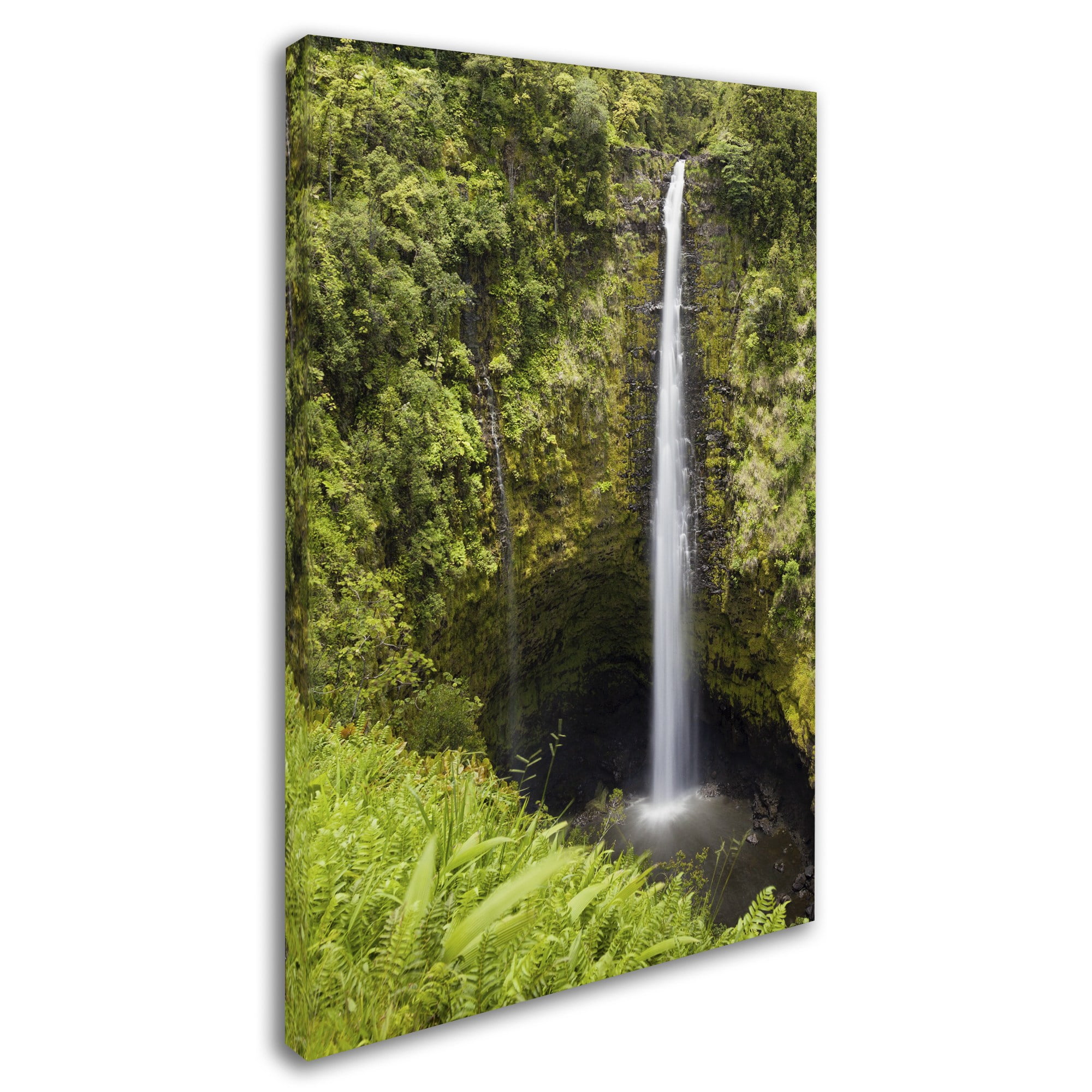 Chris Moyer 'Akaka Falls' Canvas Art