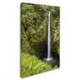 thumbnail image 3 of Trademark Fine Art Chris Moyer Akaka Falls Canvas Wall Art - 30x47, 3 of 4