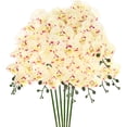 thumbnail image 1 of Uxcell 6-Pack Flores de Orquídea Artificial 9 Pétalos Grandes 37 Pulgadas Ramo de Seda Phalaenopsis Manchado Amarillo Verde Falsas Orquídeas para el Hogar/Boda, 1 of 1