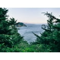 thumbnail image 2 of Mead, Adam 14x12 Gold Ornate Wood Framed with Double Matting Museum Art Print Titled - Pacific Northwest Oregon IV, 2 of 4
