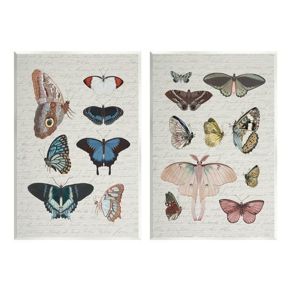 Stupell Industries Vintage Butterflies & Moths Animals & Insects Painting Unframed Art Print Wall Art, 10 x 15