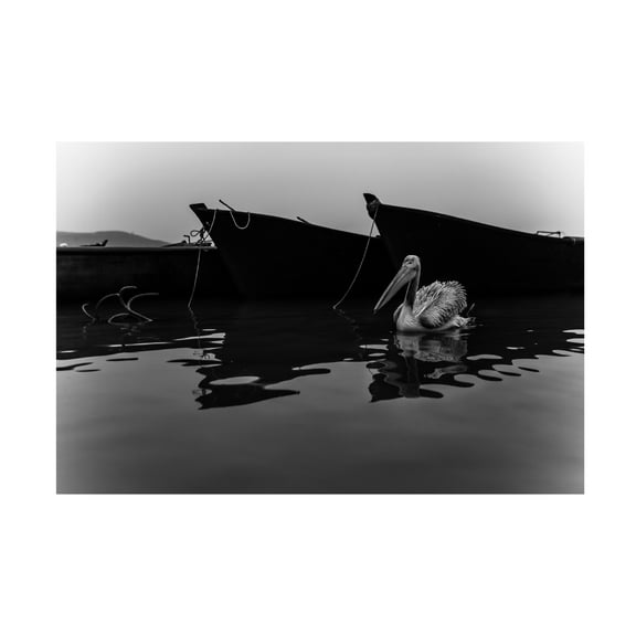 Trademark Fine Art Ummu Nisan Kandilcioglu Lake Diary 2 Canvas Wall Art