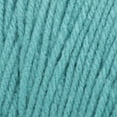 thumbnail image 3 of (2 pack) Bernat® Super Value™ #4 Worsted (Medium) Acrylic Yarn, Aqua 7oz/197g 440 Yards, 3 of 5