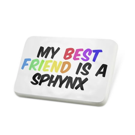 Porcelein Pin My best Friend a Sphynx Cat from Canada Lapel Badge – NEONBLOND