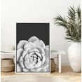 thumbnail image 2 of PixonSign Framed Wall Art Print Set White Rose Succulent Floral Cactus Photography Modern Art Chic Relax/Calm Grey Dark Black and White for Living Room, Bedroom, Office - 24"x36" White, 2 of 5