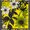 Yellow Flowers, variant on Yayeee Wall Clock Battery Operated 9.5" Silent Quartz Non-Ticking for Living Room Decor, White Rabbits