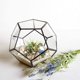 thumbnail image 5 of Terrario geométrico de mesa, 7,8 x 7,8 x 6,5 pulgadas, metal con contenedor de terrario para suculentas de vidrio, macetero de aire, joyería, decoración de boda, caja de cartón con flores, portavelas, 5 of 6