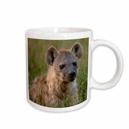 

3dRose Spotted hyena Chiefs Island Okavango Delta. BOTSWANA-AF05 POX0259 - Pete Oxford Ceramic Mug 15-ounce