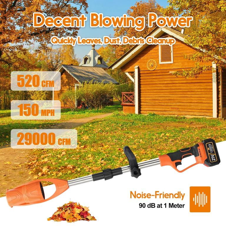 Dapmiu Leaf Blower Cordless, 400W Leaf Blowers with 1 Battery Powered and 1 Charger, Detachable Folding Blower Cordless for Lawn Care, Patio, Indoor
