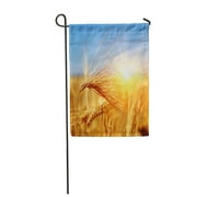 POGLIP Golden Wheat on Sun Rural Scene Under Sunlight Summer Growth Harvest Garden Flag Decorative Flag House Banner 12x18 inch