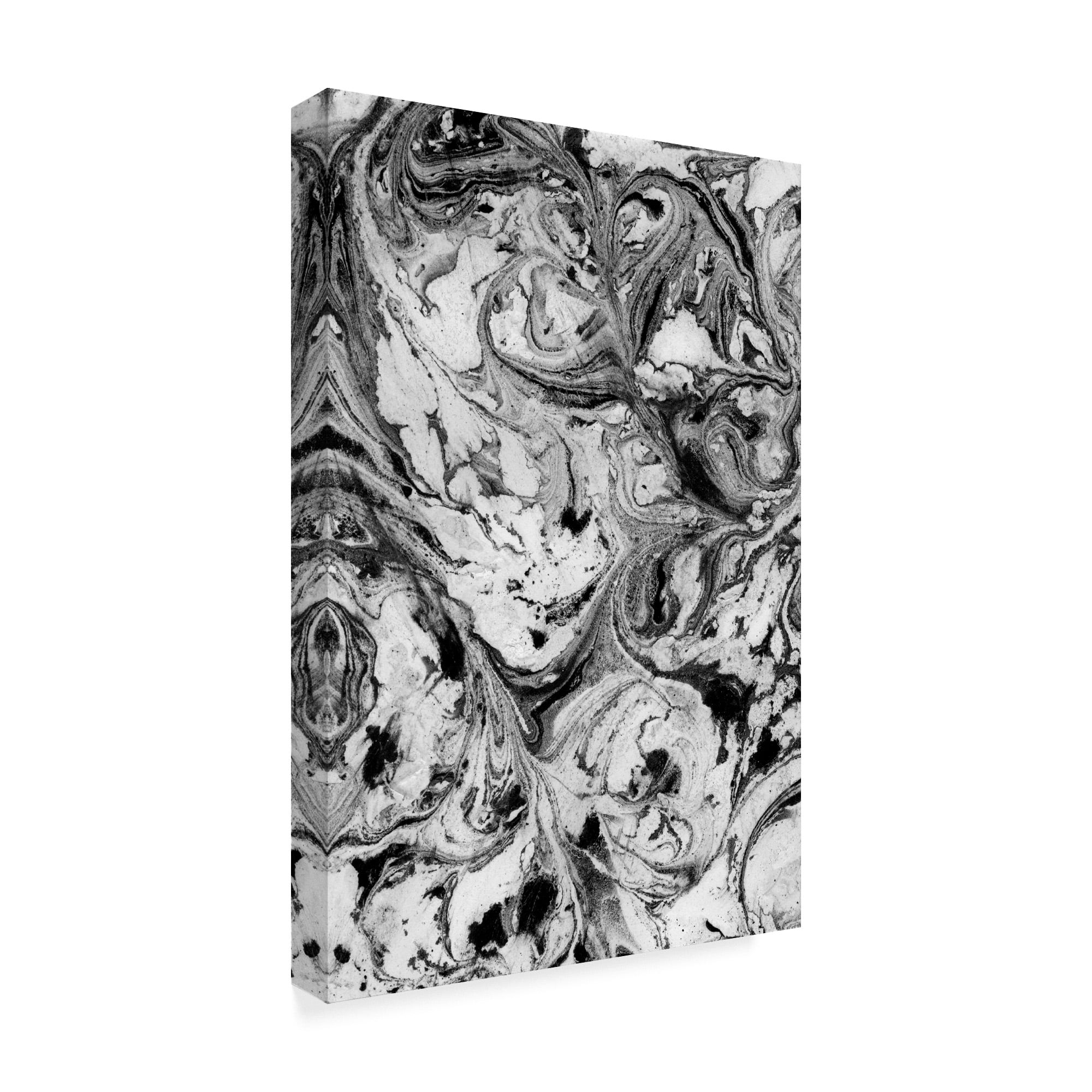 Trademark Fine Art 'Obsidian I' Canvas Art by Jenna Guthrie