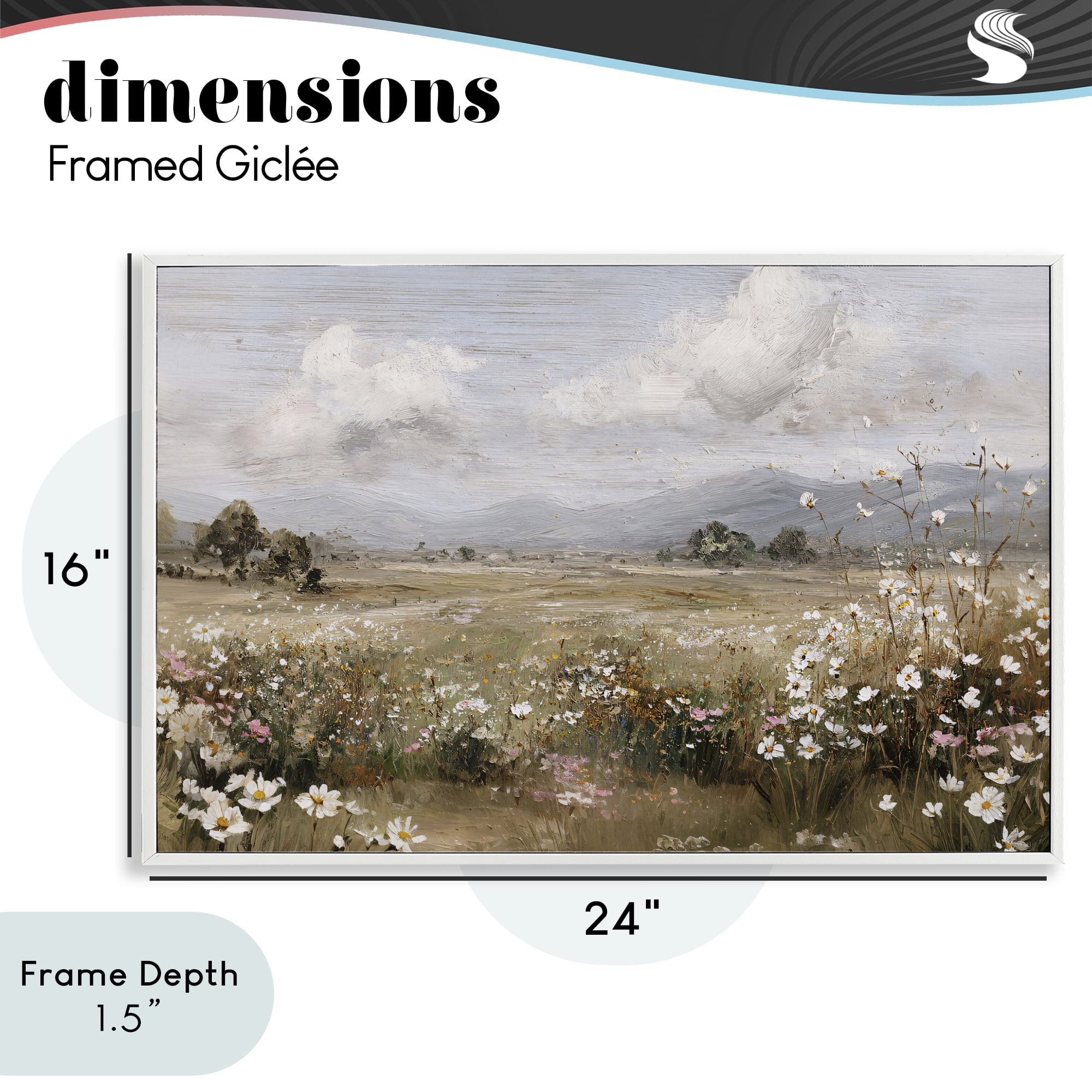 Stupell Industries Daisy Clusters in Field White Framed Giclee Art, design by Jacky Ngan
