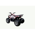thumbnail image 5 of Tao Motor Raptor 125 VTT de Taille Moyenne Édition Limitée (Assemblage Requis), Graffiti, 5 of 5