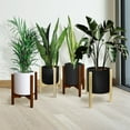 thumbnail image 5 of Casual Home Mid-Century Modern Wood Plant Display Stand, Fit Up to 12", 5 of 18