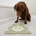 thumbnail image 5 of Frog Shaped Silicone Pet Lick Mat Multi-Texture Slow Feeder Tray Anti-Anxiety Suction Feeding Pad For Dogs Cats Wet Food Feeding(Light Green-20cm), 5 of 5