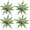 Camo Green, variant on 4pcs Flower Balloons Daisy Balloons for Flower Party Decorations Alice Theme Party Decor Fairy Birthday Party Spring Summer Decor Groovy Retro Party Supplies